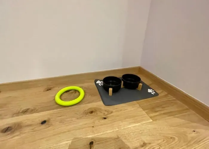 Moderne Stadtwohnung Naehe Stadthalle Lägenhet Graz