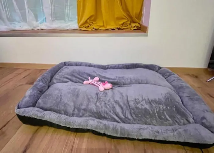 Moderne Stadtwohnung Naehe Stadthalle